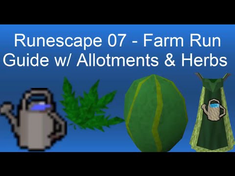 osrs how to make money farming watermelons