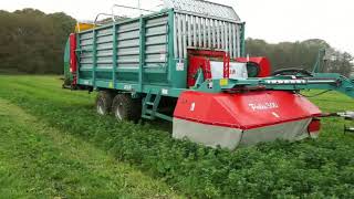 Affouragement En Vert Palès 300 - Jeulin