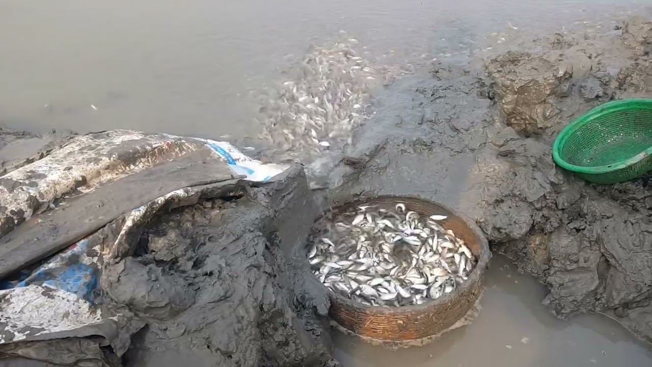 Amazing fishing scene in charming rural setting