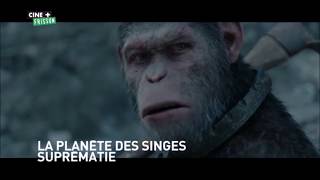 La Planète Des Singes Suprématie - Ba Ciné Frisson