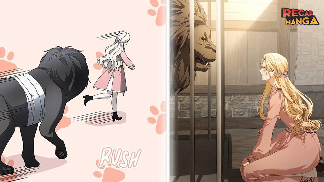 She Wants To Run Away From Home After Saving A Lion, But It Keeps Following Her