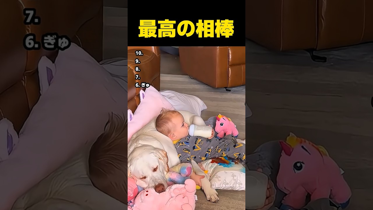 最高の友達はやっぱり犬です #bestfriend