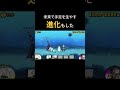 【にゃんこ大戦争ストーリー】ネコノトリの感動物語 #にゃんこガチャ #ゲーム #ネコガチャ #ショート実況 #ゲーム実況 #にゃんこ #にゃんこ大戦争 #shorts