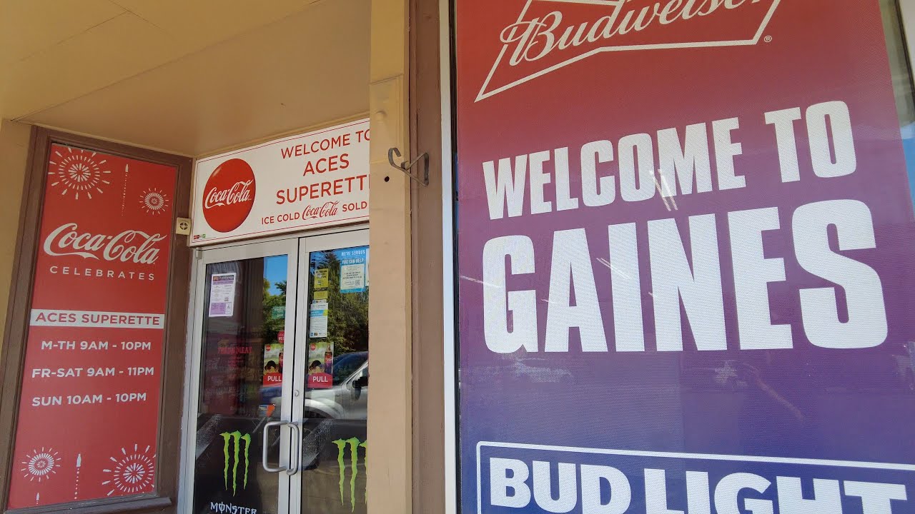 Gains, Michigan Walking Tour. HDR 4K. DJI Pocket 2