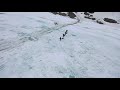 Walking for fish