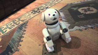 Sony Aibo... Kawaii software by Aibo Addicts 52,676 views 11 years ago 5 minutes, 9 seconds