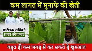 इंटीग्रेटेड फार्मिंग से अपने जमीन से कमाएं सालाना 10 लाख रुपए | Multilayer Farming