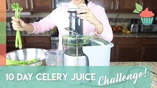 I DRANK CELERY JUICE FOR 10 DAYS AND THIS IS WHAT HAPPENED | MY RESULTS! I Drank Celery Juice For 10 Days And It Worked