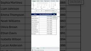 Find Anyone’s Age Instantly in Excel! 🧮✨ #excel #exceltips #webdesign #exceltricks #exceltutorial Net Worth