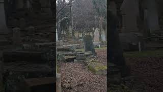 Dunedin's Southern Cemetery. #hairraisertours #ghost #travel #shorts #cemeterytours #dunedinnz