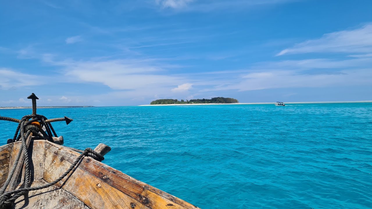 Zanzibar plongée  Spanish Dancer Divers