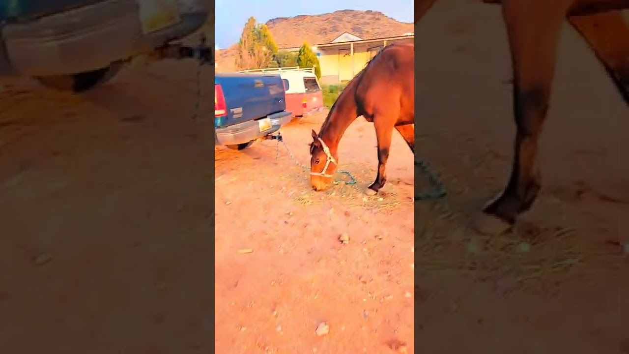 Hurricane Utah livin