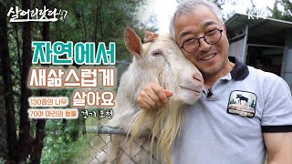 (살어리랏다 4) 70여 마리 반려동물(개, 칠면조, 길고양이, 닭 등) 대가족과 힐링 어떠세요? ktv, korea tv, second life, healing (경기 포천)