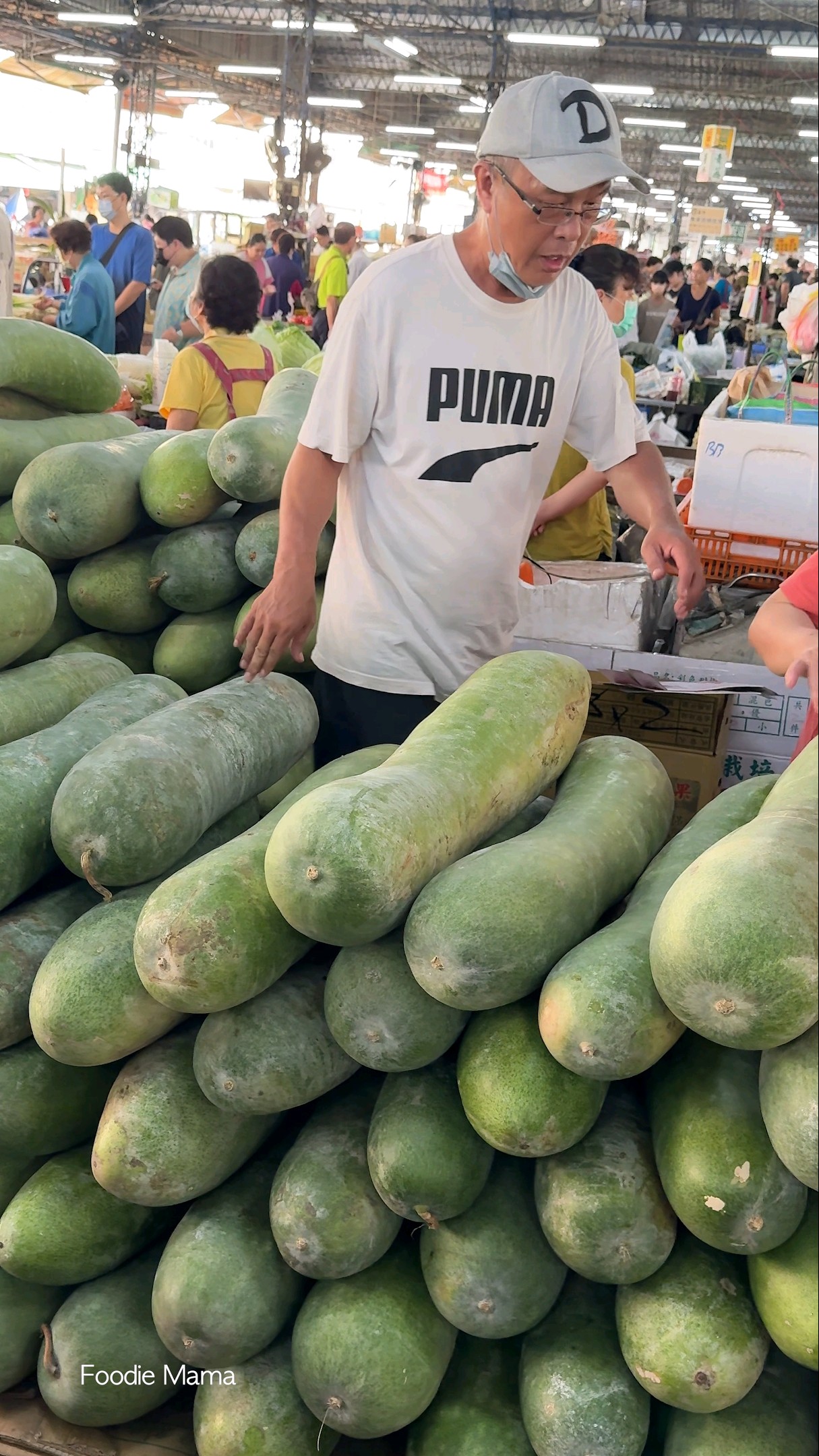 The World's Largest Fruit - Giant Winter Melon Cutting