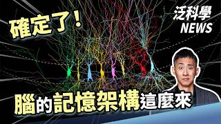A Breakthrough! Super-Compression in the Quantum World! A Giant Leap for Heart Muscle Regeneratio...