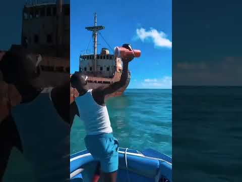 Video: Parade Perahu Liburan Tempe