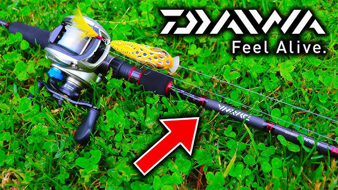 Daiwa Laguna X spinning rod 