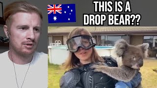 Reaction To Scottish Reporter Tricked By Australian Drop Bear