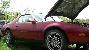 Budget LS Swap Vats Bypass & Transmission Cooler Install 5.3 Firebird