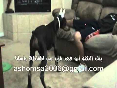 نذالة ليزر