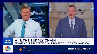 Sen. Ted Cruz: Tariffs are 'just taxes on the American people' if you leave them in place forever
