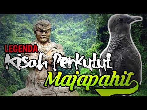 Perkutut Majapahit Asli 5 Ciri Dan Mitos Keuntungan Pelihara