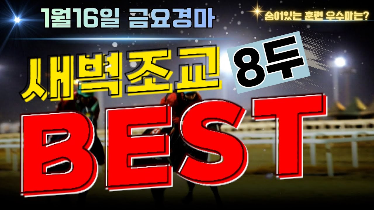 [굽소리경마] 계속되는 고배당 연출!! 1월3주차 부산경마도 가능성 충분!! 준비잘된  훈련우수마 8두!!#새벽조교#과천경마장#조교우수마#굽소리경마