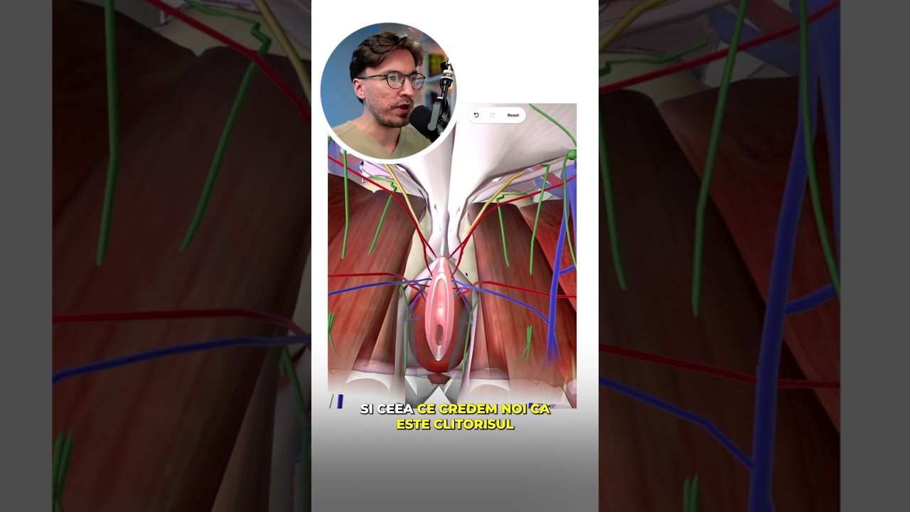 Clitorisul este organul sexual al plăcerii. Tu știai asta❓👨🏼‍⚕️🌷