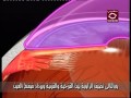 أنواع المياه الزرقاء الجلوكوما مستشفيات مغربي 