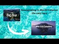 Downgrading from MacOS Big Sur to Catalina the Easy Way