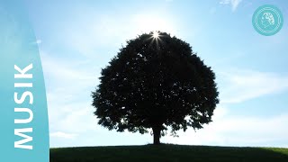 Und Inmitten Des Gartens Naturfotos Und Musik Von Bruno Gröning-Freunden