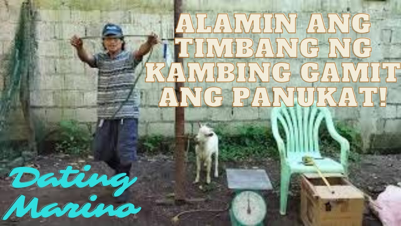 Sukatin ang timbang ng kambing kahit walang timbangan!