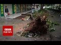 New video by BBC News on YouTube