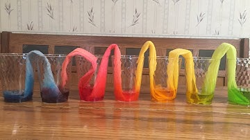 Traveling Colors Science Experiment For Kids
