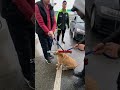 HE TRIED TO TAKE HIM BACK
