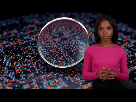 EDA Exploratory Data Analysis in AI