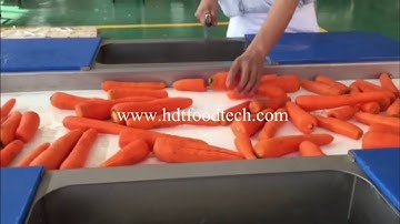 Carrot Washing Peeling Cutting Dehydrating Production Line - HDT