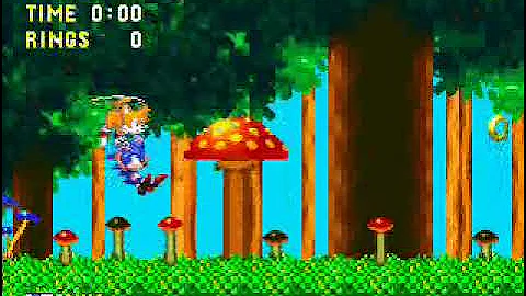 Sonic 3 & Knuckles - How to get Debug mode