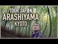 Kyoto's Bamboo Forest & More: Guide to the Arashiyama District