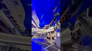 White night at MSC world America #trendingshorts #cruise #cruise