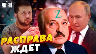 Лукашенко устранят? Воевать за картофельного диктатора никто не будет