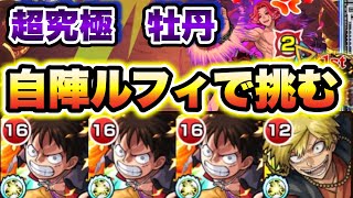 【牡丹】自陣ルフィで超究極牡丹に挑戦！【モンスト】【地獄楽コラボ】