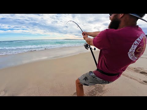 Beach Fishing for Sharks