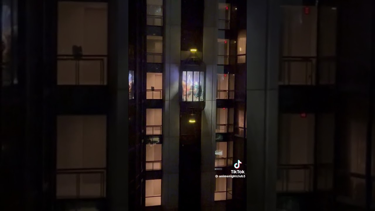 Duel of the Fates IRL! 