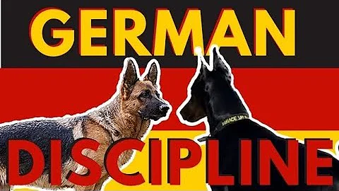 3 ways to correct unsocial behavior with a dominant reactive German Shepherd