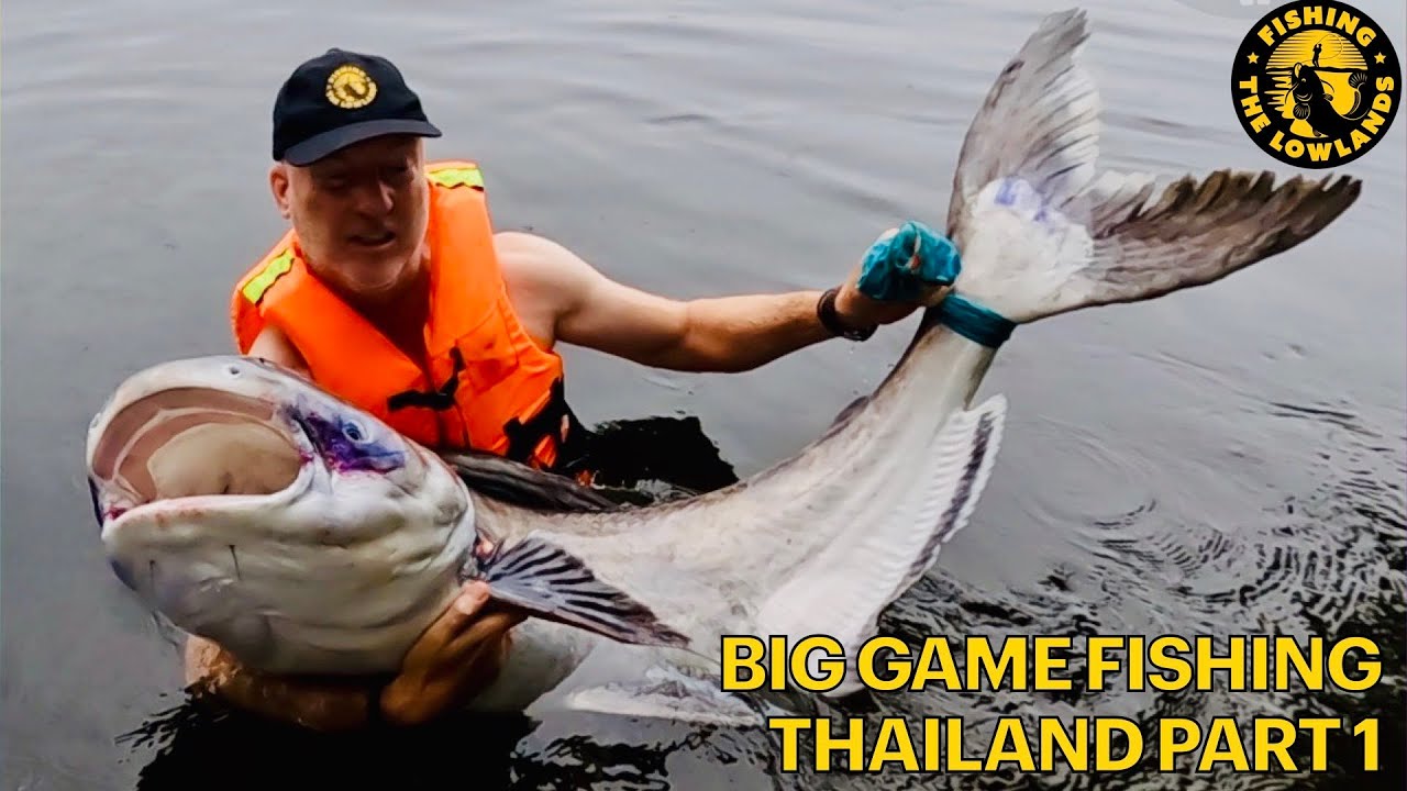 Big Game Fishing Thailand. 50 Kg+ Meervallen Catfishes. Thailand Chiang