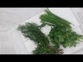 Herbs | Storing Herbs Long Term in the Fridge