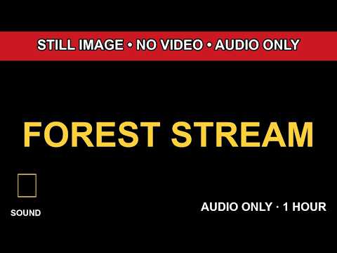 1 Hour FOREST STREAM Black Screen Audio Only HD