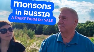 MONSONS in IVANOVO. A DAIRY FARM for SALE