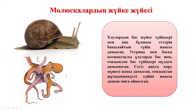 Неміс әйелдері ақ трусики, ретро секс